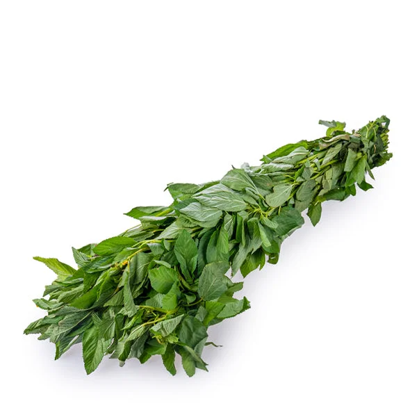 ملوخية – حزمة واحدة كبيرة