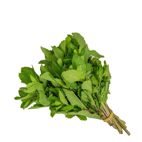 نعناع – حزمة 0.10 كجم